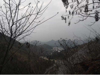 现场风景 现场风景